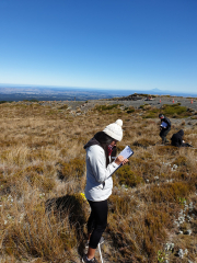 Year 12 Geography students tackle Ruapehu