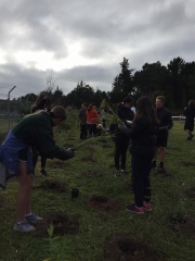 Students Keep Taupo Green