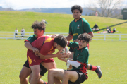 Rugby teams train hard for top spots