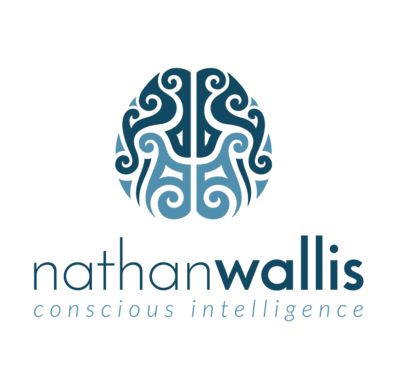 Nathan Wallis - Taupo Teen Brain Presentation