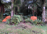 Camping in the Kaimais