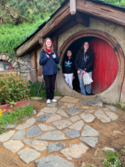 Tourism trip to Hobbiton!