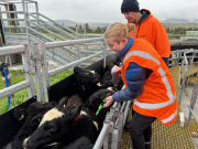 Pathways Connect - Pāmu Farms Visit