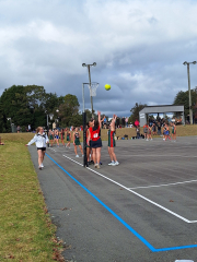 Netball finals are on this Saturday!