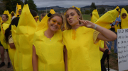 Colours Day