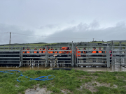 Pāmu Farms Visit
