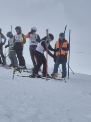 NISS Ski Champs