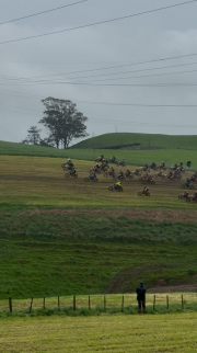 Cambridge Schools Cross Country