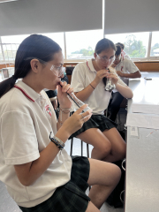 Discover Waikato University Day