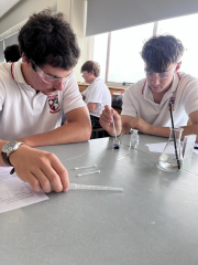 Discover Waikato University Day