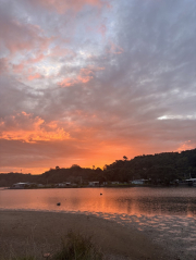 Bay of Plenty Volleyball Champs wrap up