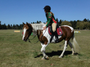 Equestrian - Central Plateau Interschools Gymhkana