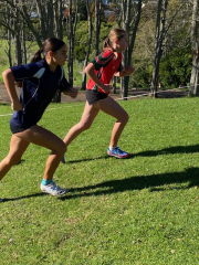 Bay of Plenty Cross Country Championships