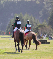 Equestrian results are in...