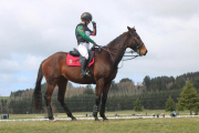 Equestrian results are in...